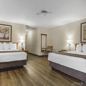 Executive Queen Suite Two Queen Beds Pet-Friendly
